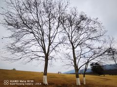 -钟山体育运动公园