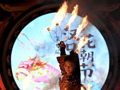 -武汉园博园(武汉自然博物馆)
