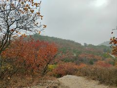 -北京西山国家森林公园