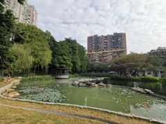 -四海公园(南山区)
