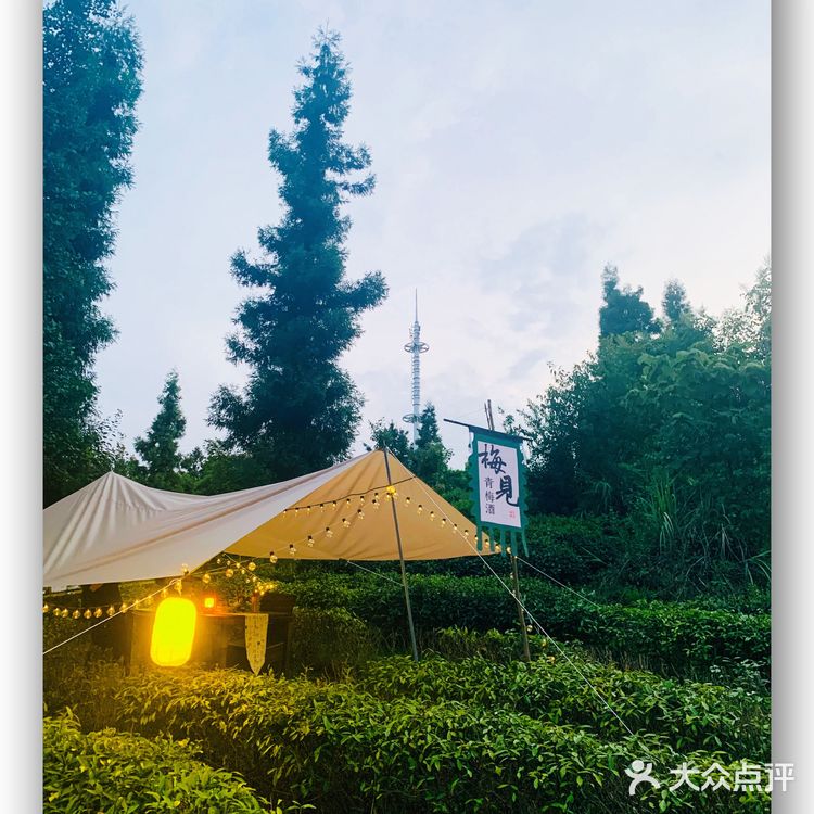 藏在森林里的宝藏避暑打卡地——梅见森林酒馆   