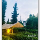 藏在森林里的宝藏避暑打卡地——梅见森林酒馆   