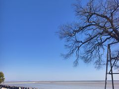 -观潮胜地公园