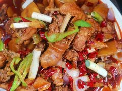 -新疆大盘鸡·十八年老店