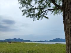 -四明湖