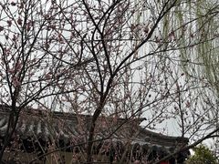 -常熟方塔园