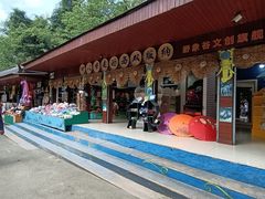 -野象谷景区