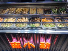 -麻小劲菌汤麻辣烫(体育西路店)