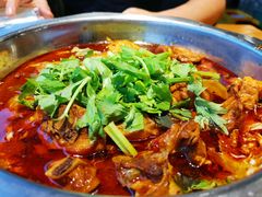 -唐闸邵记鸡煲馆