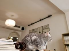 -隅cafe(傅厚岗店)