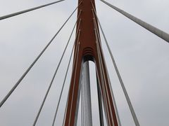 -桂溪生态公园