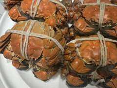 -城北食府(枫林店)