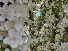 -和合谷(海淀五路居店)