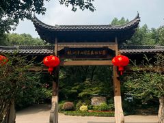 -杭州半山国家森林公园