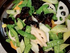 -邵年鸽(杨庄店)