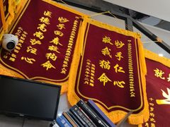 -半岛宠物医院24小时·内窥镜·牙科·碎石中心(府城大道店)