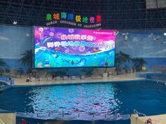 -泉城欧乐堡海洋极地世界
