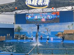 -石林冰雪海洋世界