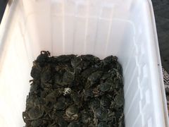 -蟹谢蒸鲜自助餐厅