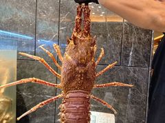 -欧记·龙城港(欣都店)