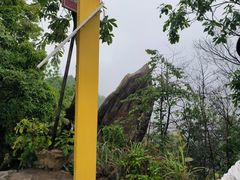 -南山植物园