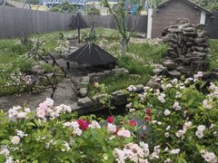 -苏州上方山国家森林公园