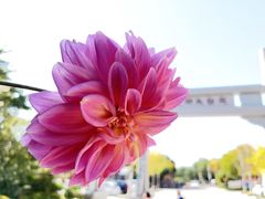 -竹子庵公园