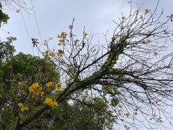 -厦门美莱整形美容医院