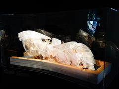 -巴黎路易威登基金会艺术中心 