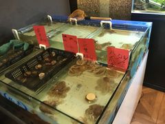 -牛品福潮汕牛肉火锅(旺庄店)