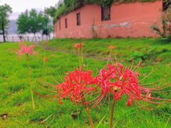 -丰都鬼城名山景区