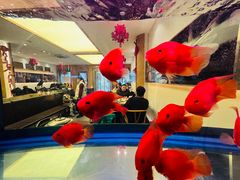 -盘飧市(春熙路店)