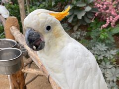 -南宫五洲植物乐园