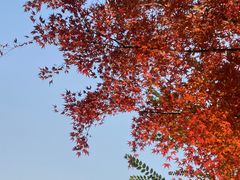 -家乐福(古北店)