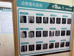 -千城康桥宠物医院CT影像·骨科·心脏专科中心(厚街分院)
