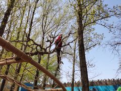 -北京野生动物园