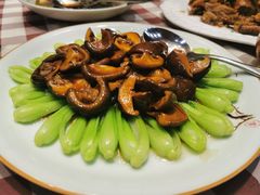 -红星渔村(将军石店)