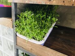 -二荆条·蜀鲜汇城市森林火锅