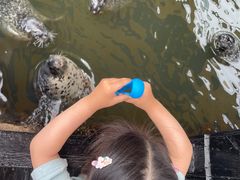 -华夏文旅海洋公园