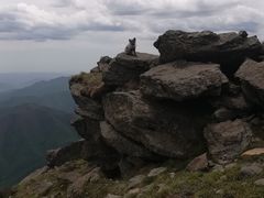 -北京灵山风景区