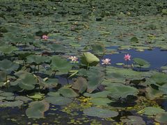 -长春市南湖公园