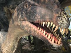 -湖南省地质博物馆