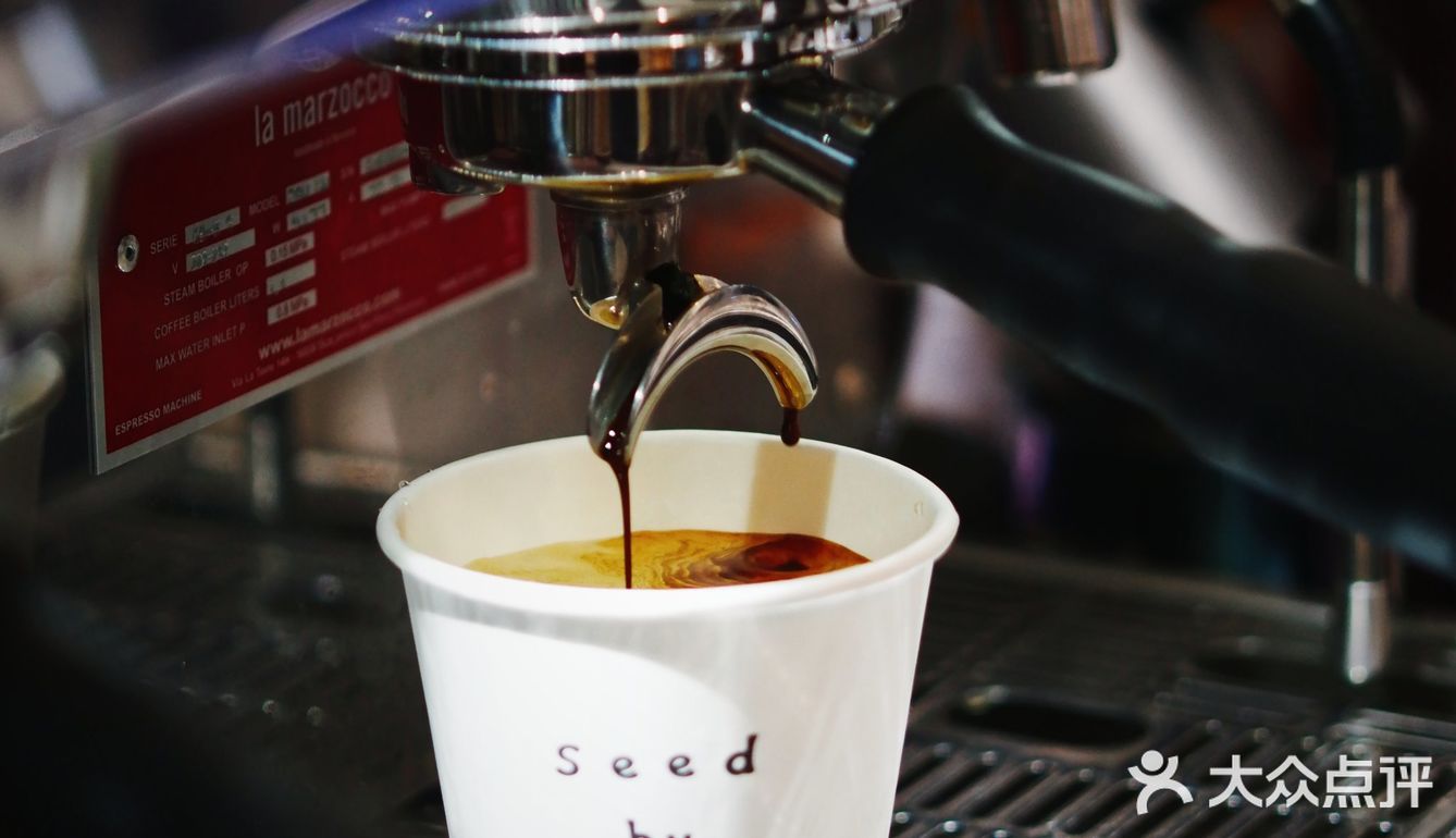 新店寫實｜人逢囍事精神爽——SEED COFFEE