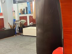 -温鉴良实用咏春拳