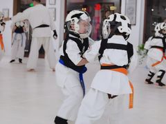 -极真空手道修远道场