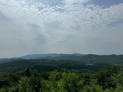 -玉泉威虎山森林公园