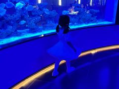 -上和臻品中国菜(花园街店)