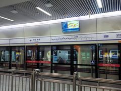 -望京西(地铁站)