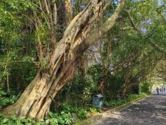 -海口火山口国家地质公园