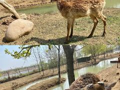 -泗洪洪泽湖湿地景区